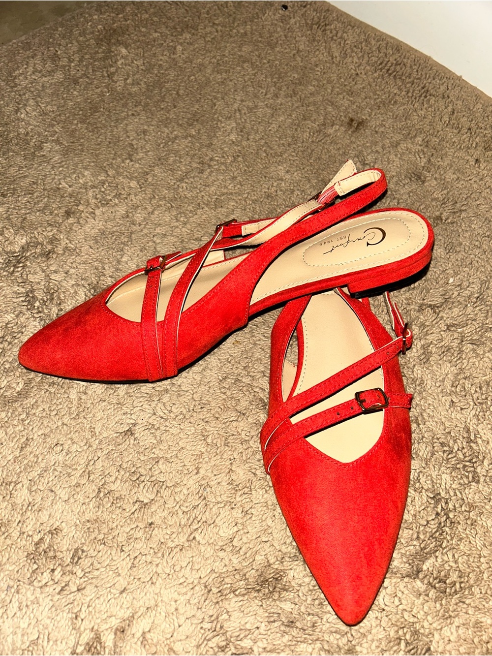 Cathy Jean Red Pointed Slingback Flats with Cross Straps